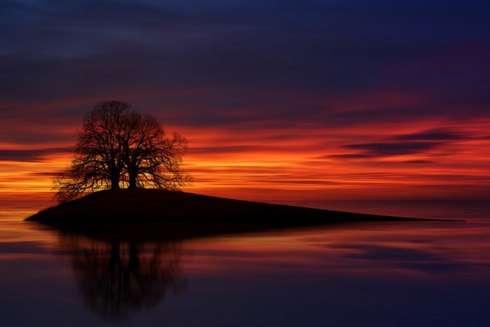Evening Sky Lake Sea Island Silhouette Tree
